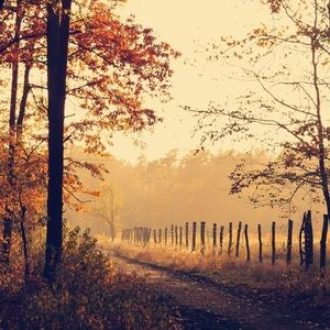 Meet your Posher, Joline